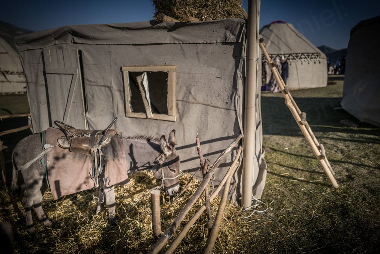 Nomad Games Kyrgyzstan